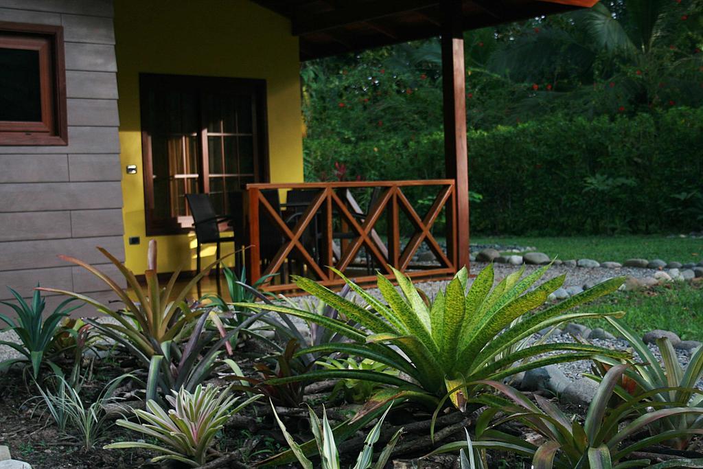 Oasi Apartment กาอุยตา ห้อง รูปภาพ